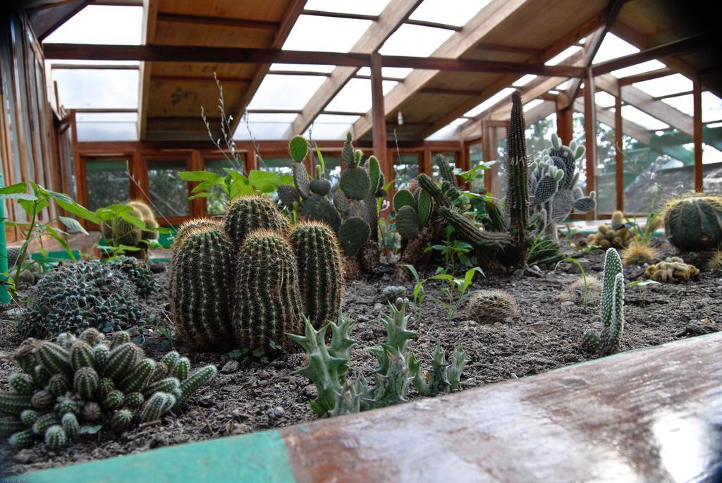 Hosteria Mandala Puerto Lopez Exterior photo